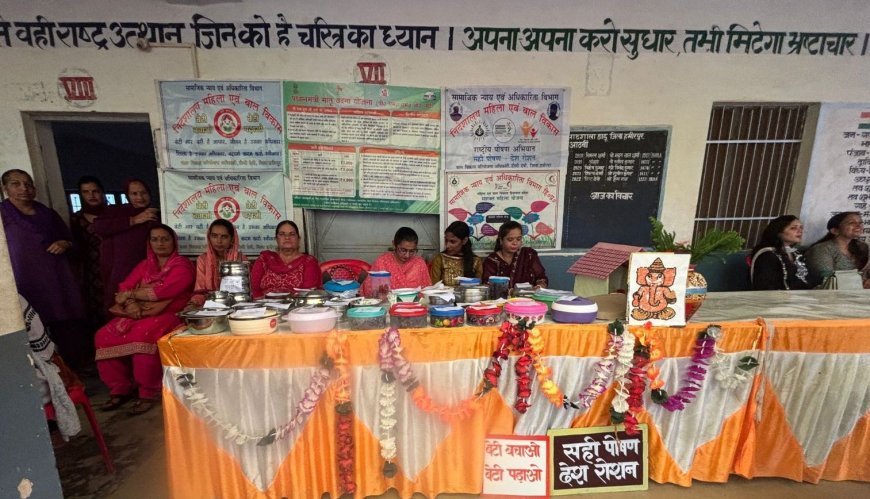 ग्राम पंचायत डाडू में लोगों को बताई सरकारी योजनाएं