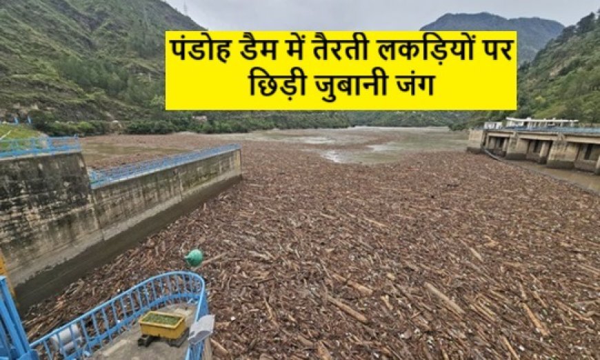 पंडोह डैम में तैरती हुई जंगल की लकड़ियों की वायरल तस्वीरों पर छिड़ी बहस